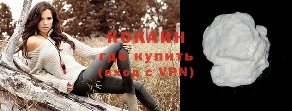 тгк Алексин