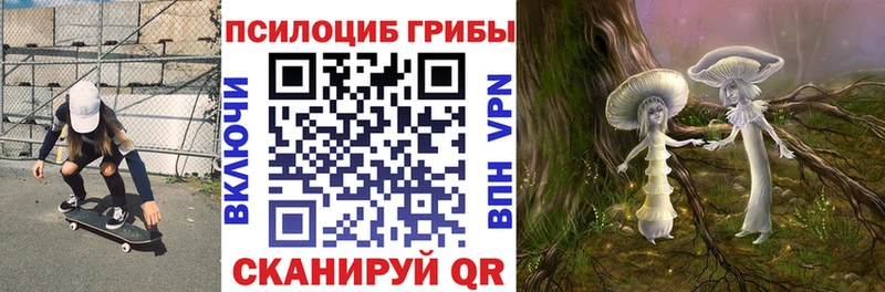 продажа наркотиков  Кизилюрт  Галлюциногенные грибы ЛСД 